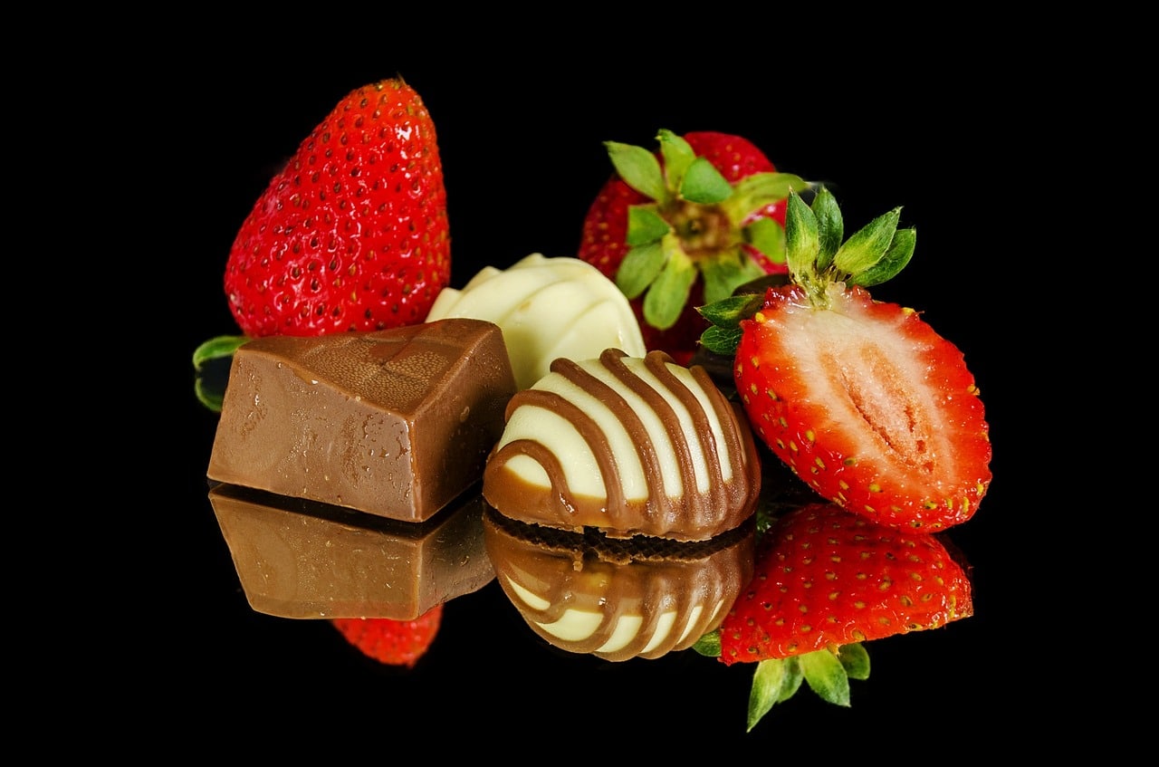Read more about the article הקמת עסק למכירת מוצרי קקאו ושוקולד: מהיכן מתחילים וכמה זה עולה?